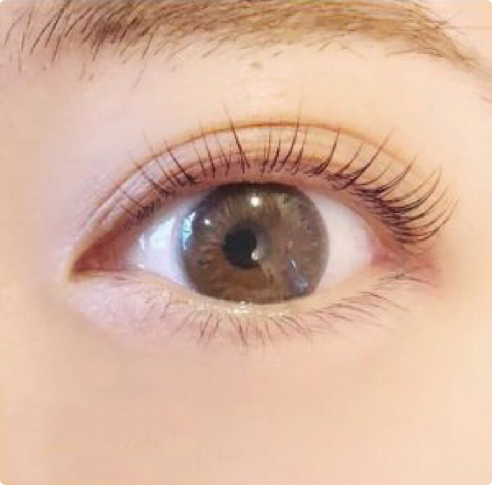 CILFACILE EYELASH